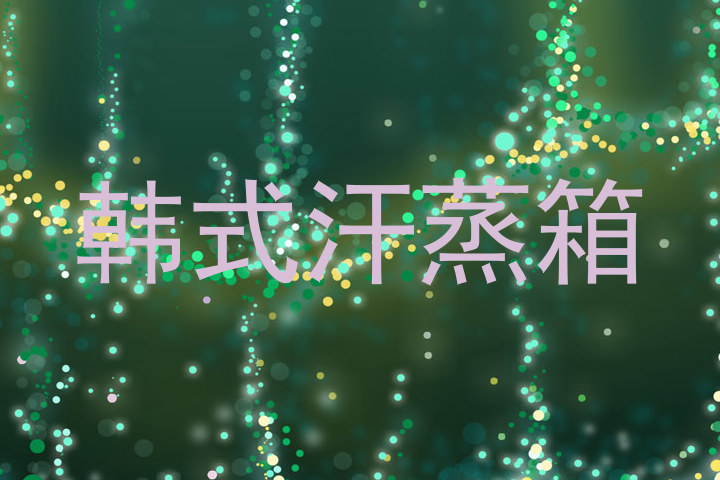 韩式汗蒸箱
