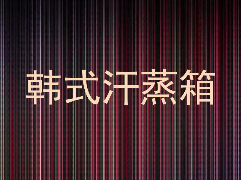 韩式汗蒸箱