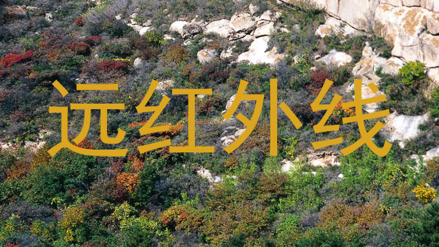 远红外线