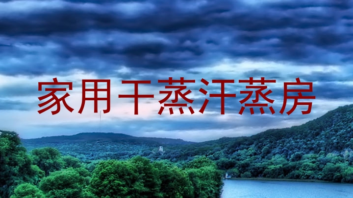 家用干蒸汗蒸房
