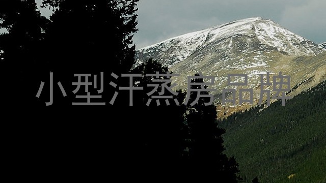 小型汗蒸房品牌