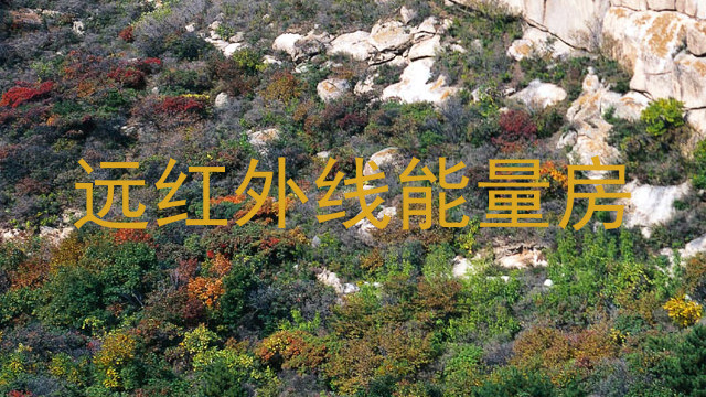 远红外线能量房