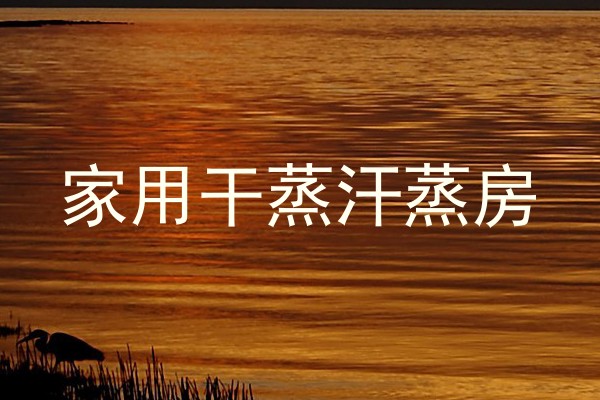 家用干蒸汗蒸房