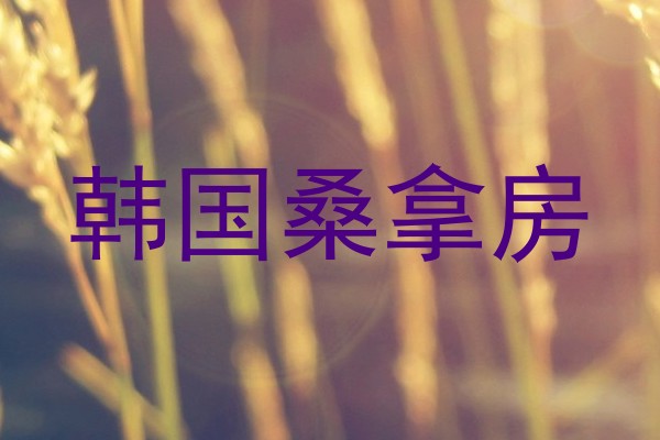 韩国桑拿房