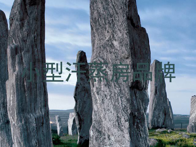 小型汗蒸房品牌