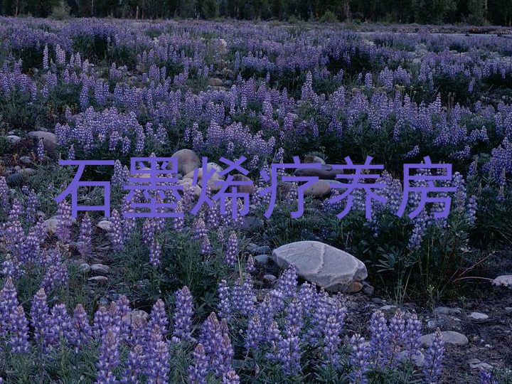 石墨烯疗养房
