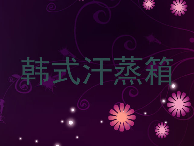 韩式汗蒸箱