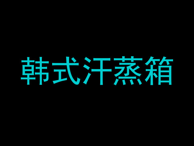 韩式汗蒸箱