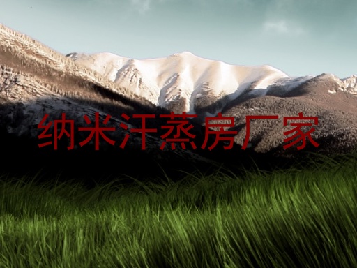 纳米汗蒸房厂家