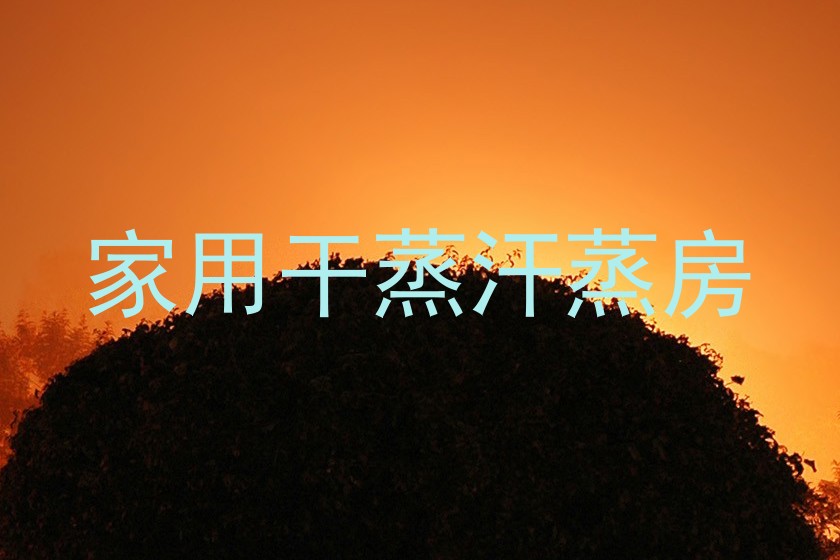 家用干蒸汗蒸房