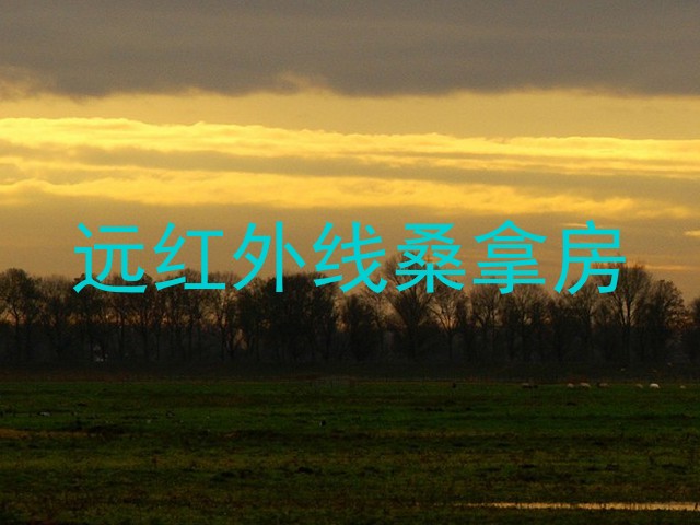 远红外线桑拿房