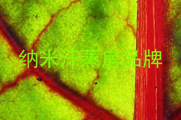 纳米汗蒸房品牌