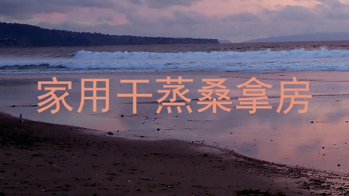 家用干蒸桑拿房