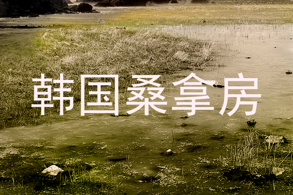 韩国桑拿房