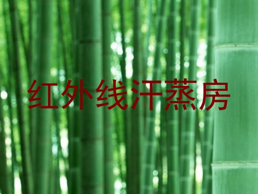 红外线汗蒸房