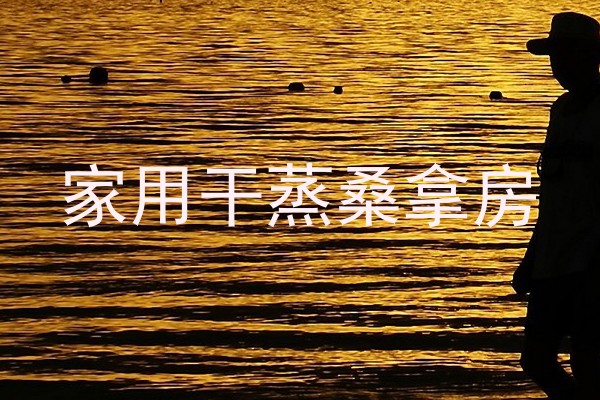 家用干蒸桑拿房