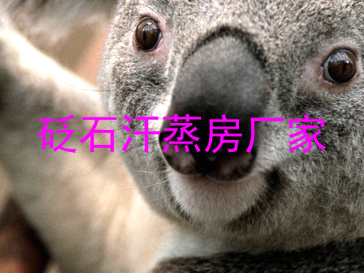 砭石汗蒸房厂家