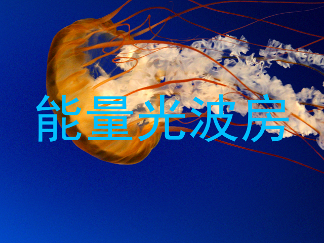 能量光波房