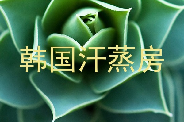 韩国汗蒸房