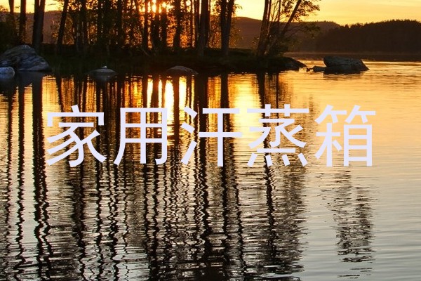 家用汗蒸箱