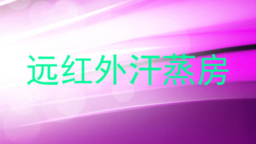 远红外汗蒸房