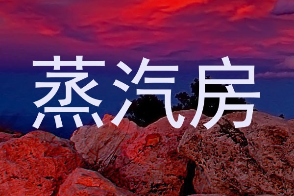 蒸汽房