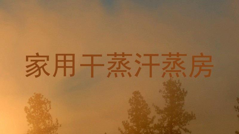 家用干蒸汗蒸房