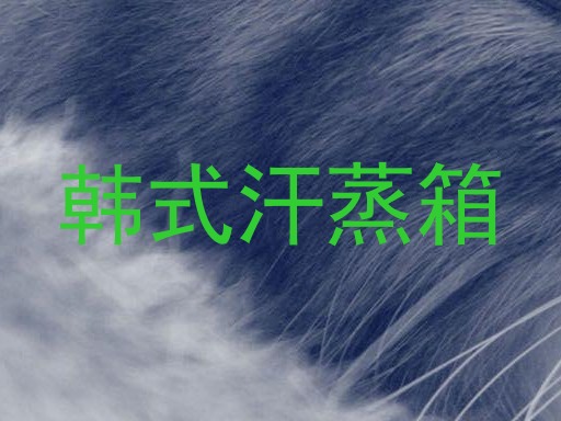 韩式汗蒸箱