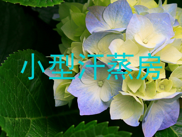 小型汗蒸房