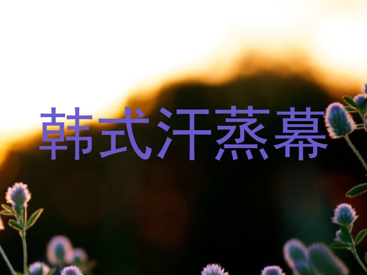 韩式汗蒸幕