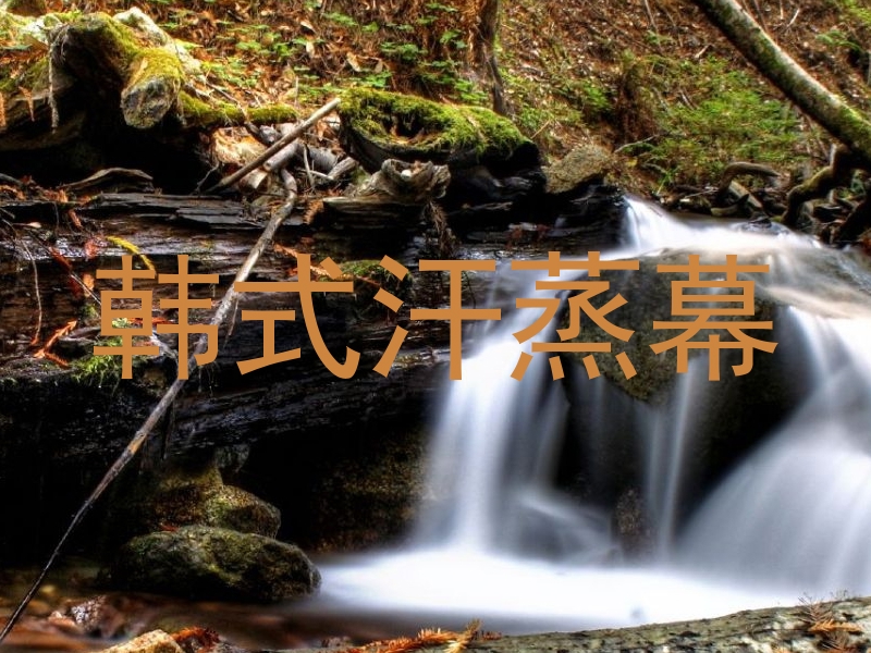 韩式汗蒸幕