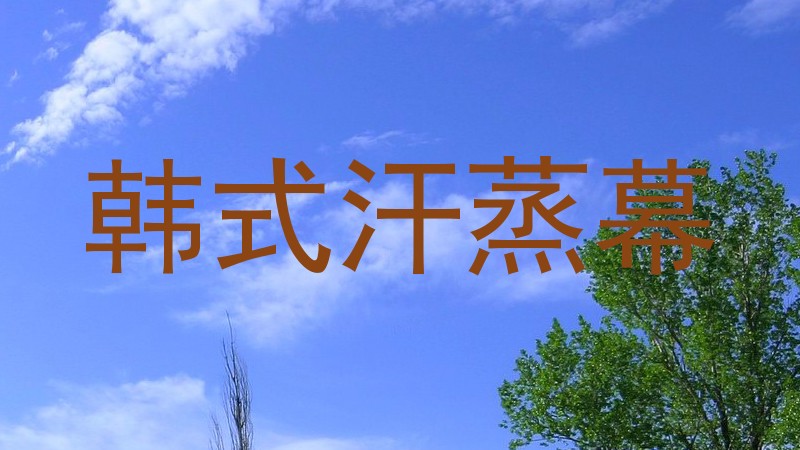 韩式汗蒸幕