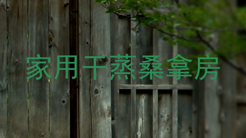 家用干蒸桑拿房