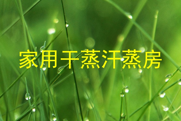 家用干蒸汗蒸房