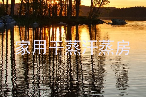 家用干蒸汗蒸房