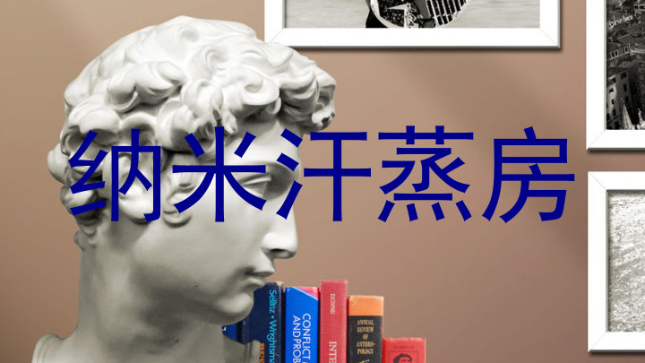 纳米汗蒸房