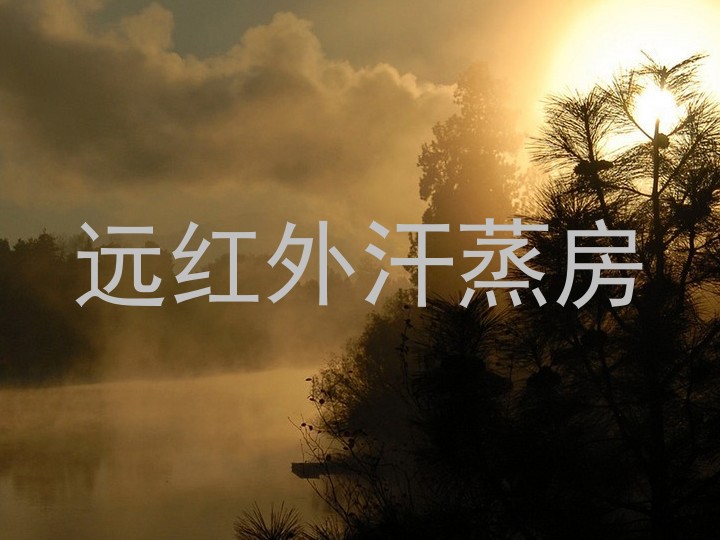 远红外汗蒸房