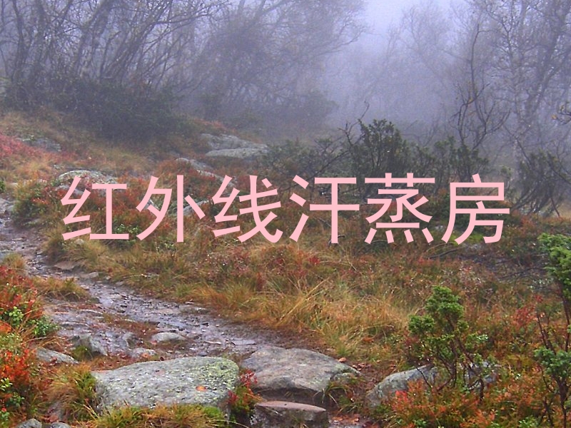 红外线汗蒸房