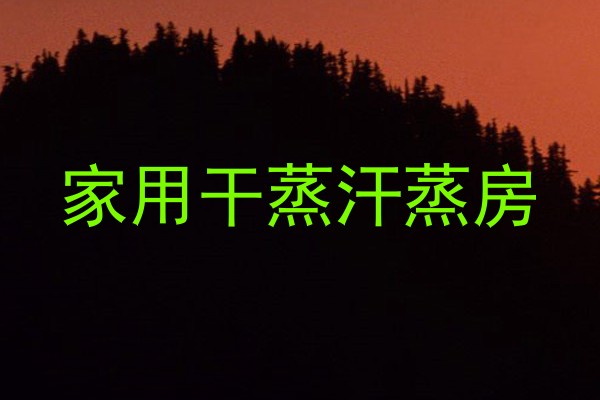 家用干蒸汗蒸房