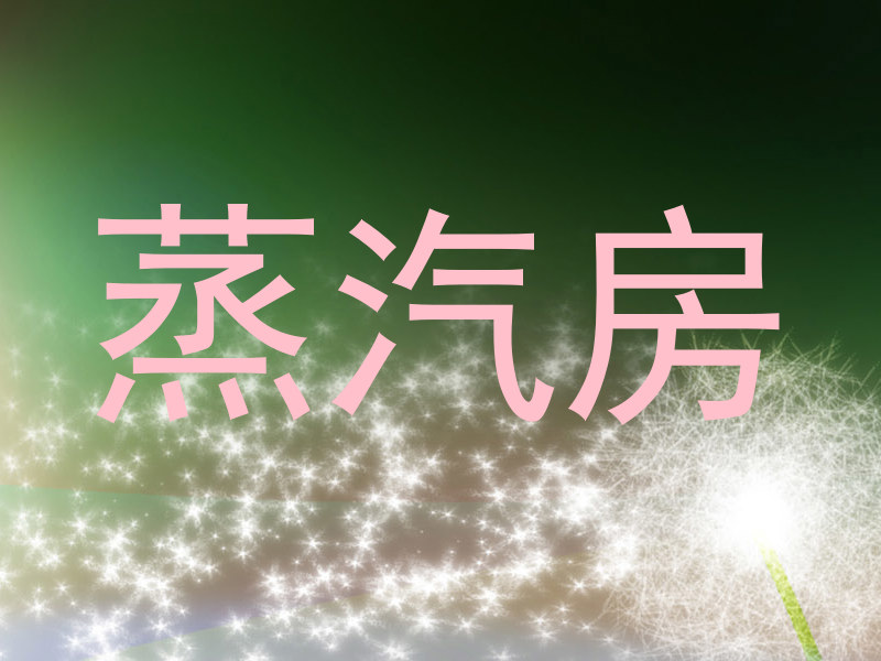蒸汽房