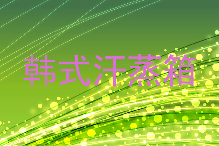 韩式汗蒸箱