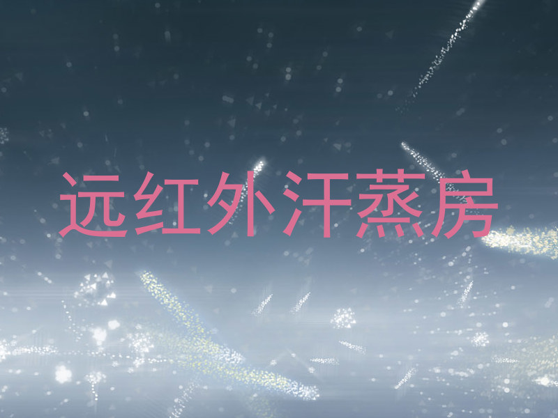 远红外汗蒸房