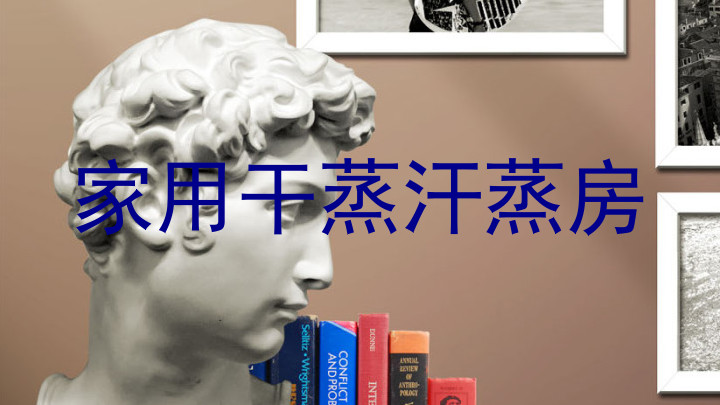家用干蒸汗蒸房