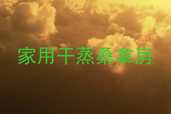 家用干蒸桑拿房