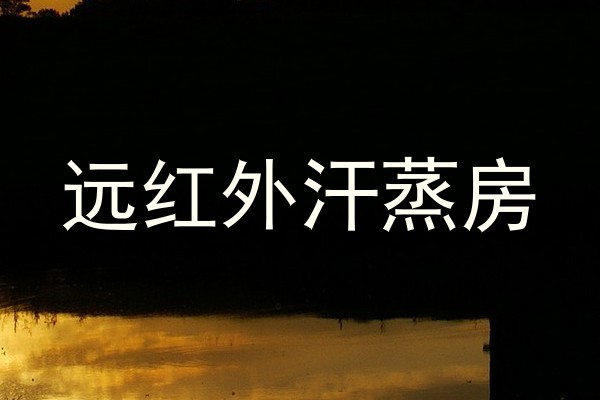 远红外汗蒸房