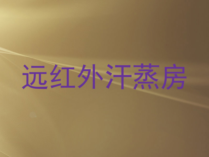 远红外汗蒸房