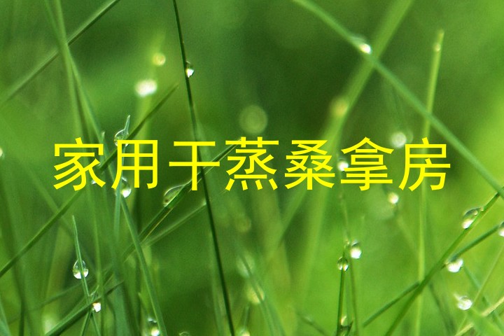 家用干蒸桑拿房