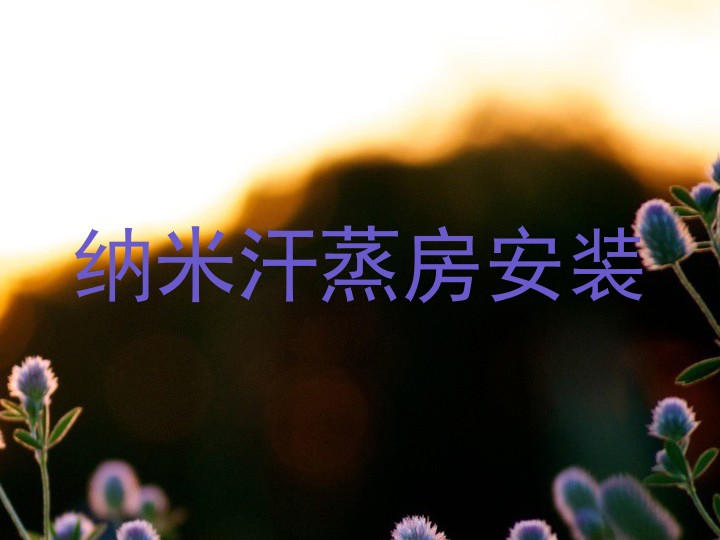 纳米汗蒸房安装