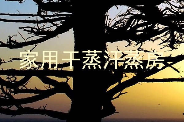 家用干蒸汗蒸房
