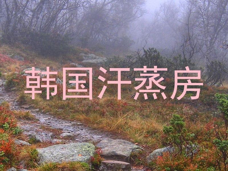 韩国汗蒸房